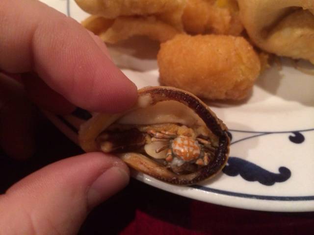 My clam has crabs :/ 