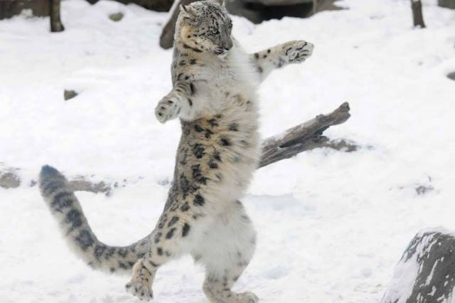 Bitch, I'm Fabulous