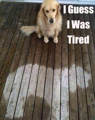 Dry patch level - Comatose