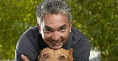 The Simple Antidepressants in life- Dogs