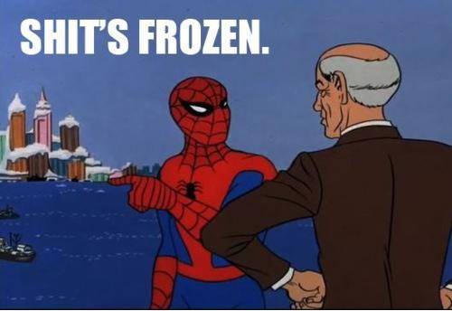 Everyone everywhere this week.