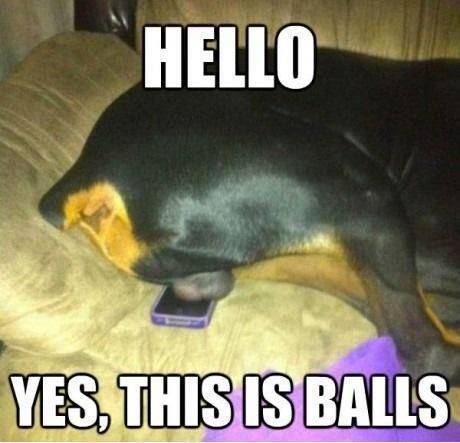 Hello? Yes, this is balls