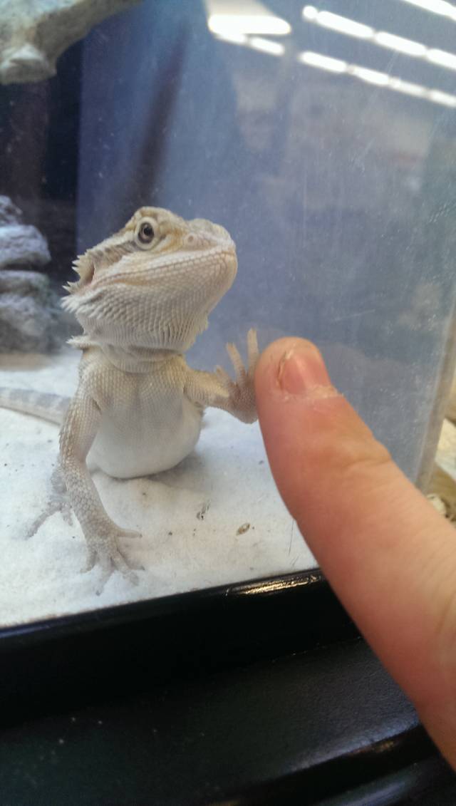 We shared a moment at the pet store