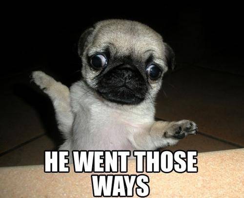 Which way did he go?