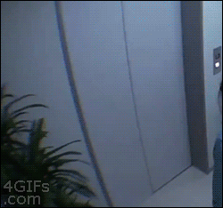 Japanese Prank Shows are insane