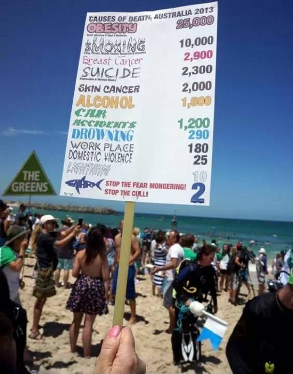 This pretty much sums up the hysteria over shark attacks in Australia.