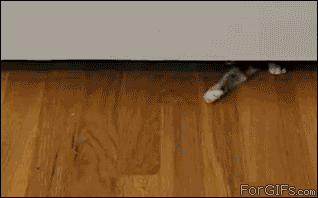 If only humans were this capable