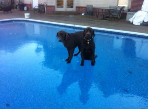 Sorry girls. No swimming today.