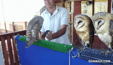 I love this song, it’s a hoot!