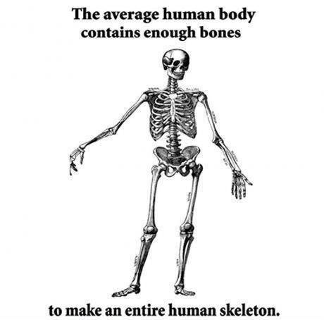 The more you know