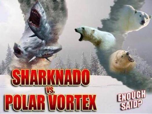 Sharknado? Pleeeeaaaseee.............