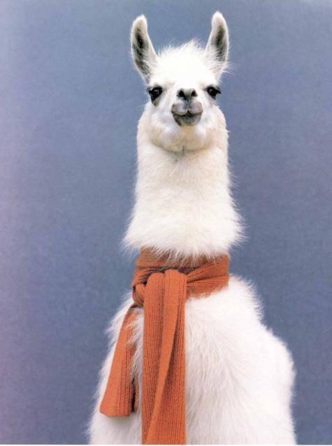 I've been using this as my profile picture for my University's student portal for 3 years. Finally had a professor call me out on it today.