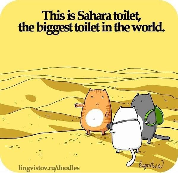 Gets me every time...