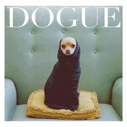 Dogue Magazine