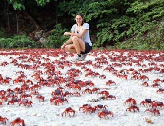 How would you title this picture? Reply in comments...
