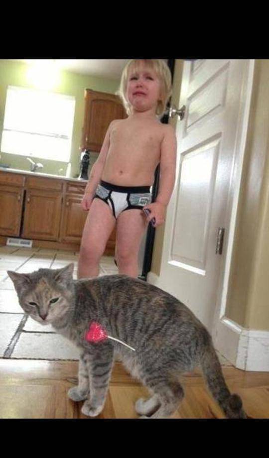 The more I look the funnier it gets