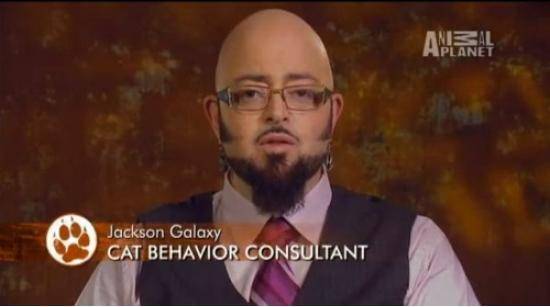Perfect job, perfect look, perfect name, perfect man