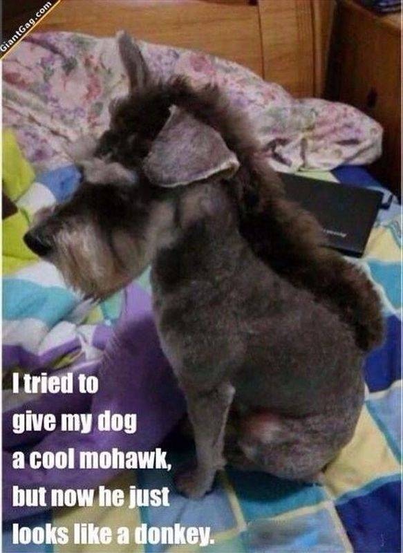 And in the morning, I'm making waffles