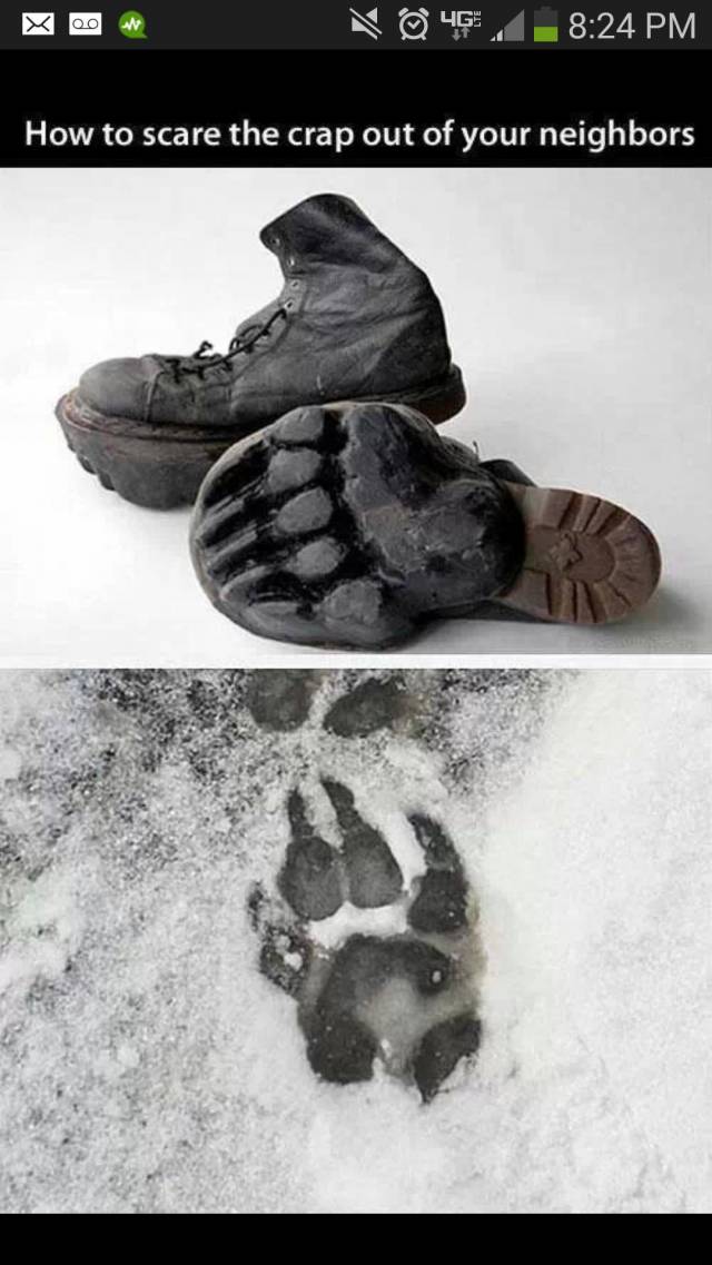 Where can I buy a pair????