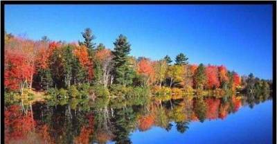  Silent reflections