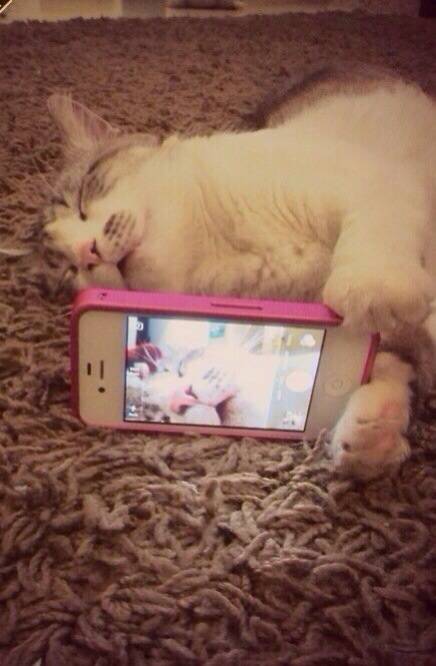 Lol. Bae caught me slippin.