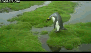 He looks so proud of himself at the end.