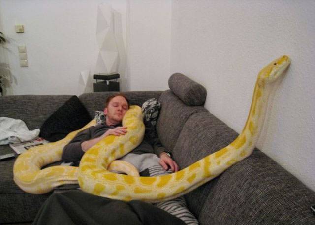 Steve...STEVE WAKE UP
