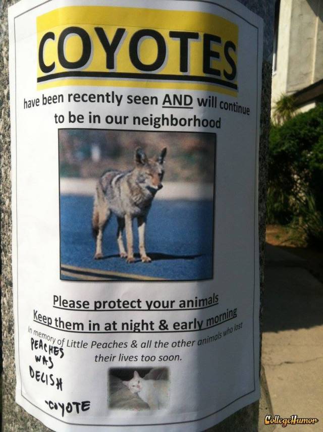 I must have a morbid sense of humor...because this made me laugh