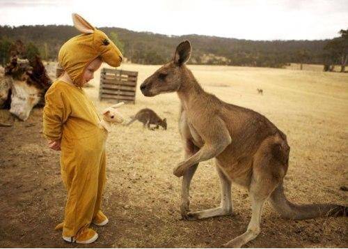 Kid trying to make a connection with the kangaroo. 