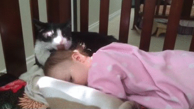 My toddler likes to snuggle my cats. Sometimes she gets groomed too.