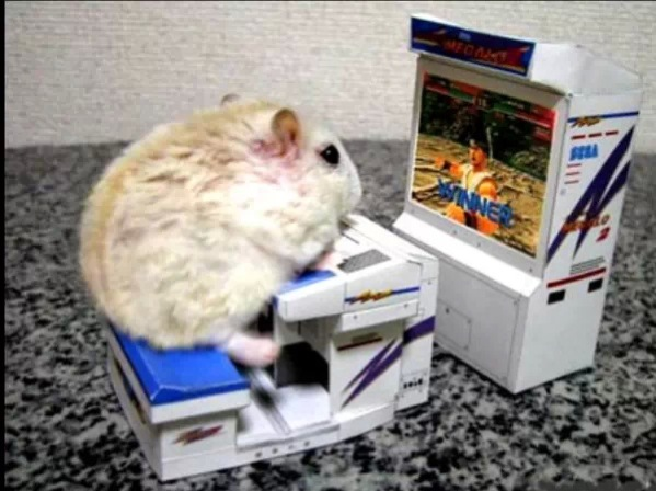 Googled 'best gaming mouse' was not disappointed