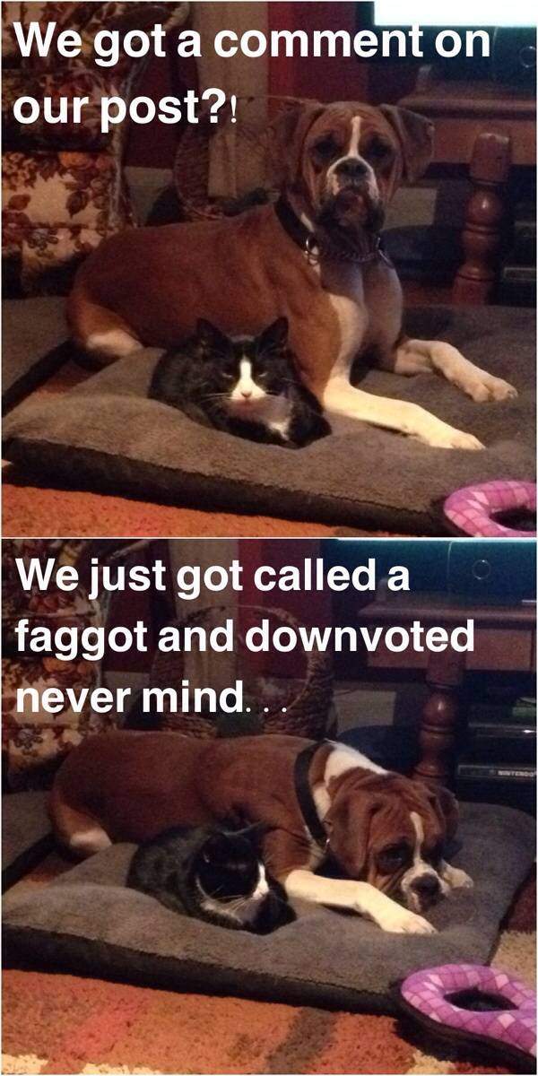 It never fails.
