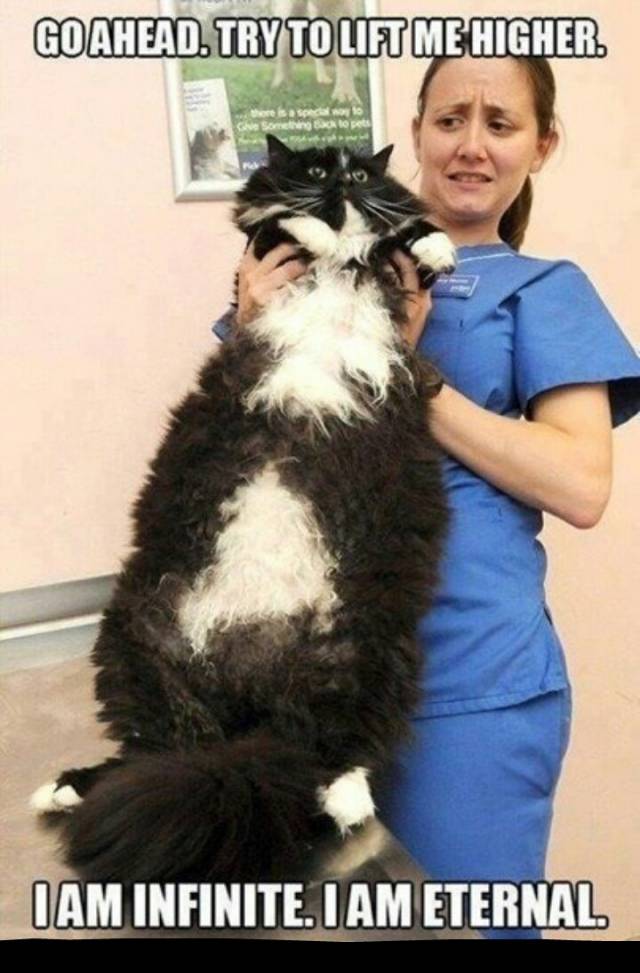 Go ahead. Lift me.