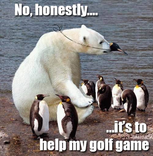 How I felt as a 54y.o. alum in a beginning yoga class full of coeds at the university