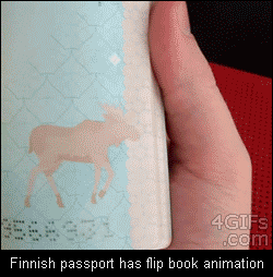 Finnish Passport
