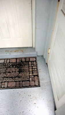 Every day when I get home my blind Mastiff is waiting right at the door.