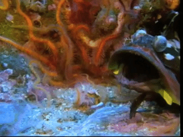 This is why I don’t like the ocean.