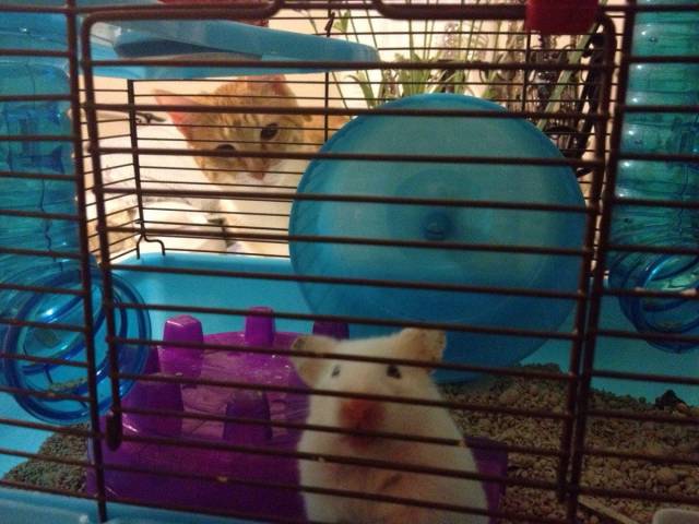 He's right behind me...isn't he