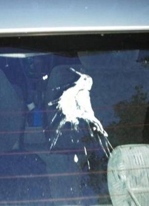 So this bird sh*t himself a 