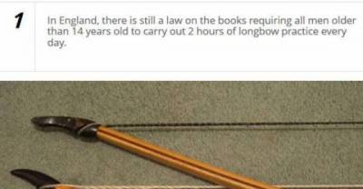 Strange Real-Life Laws from around the World