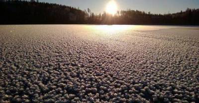 Frost Flowers are a Pretty Natural Phenomenon