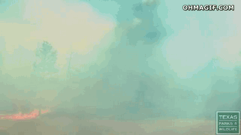 As someone who grew up in a cold climate, I always thought people must be stupid not to outrun fire when I heard of it on the news – But this is terrifying.