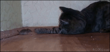 Are....are you food?