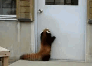 Let me in! Let me in! Let me in!
