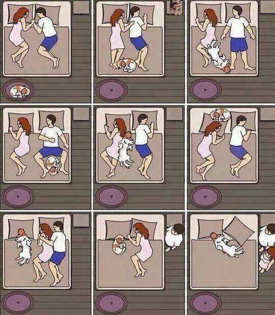 The joys of sleeping with dogs.. how real this is