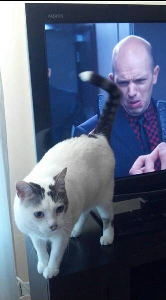 Perfect timing.
