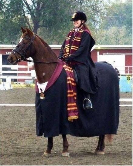 I wasn't going to post this but then the horse had glasses