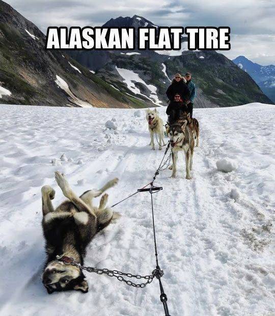 Alaskan flat tire.