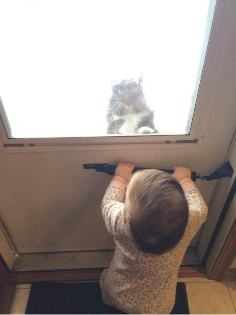 -2 outside. Here’s my daughter f*cking with my cat.