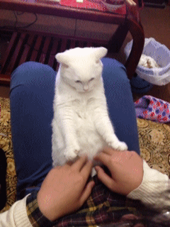 Concentration